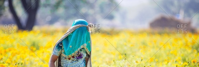 saree_2_slider